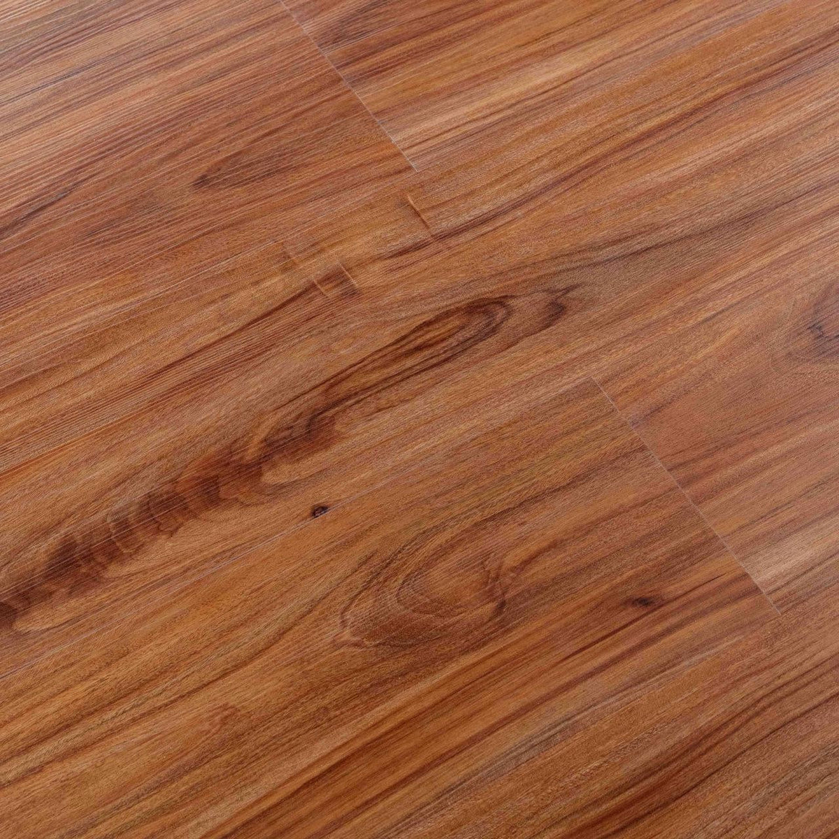 Hawaiian King Koa · SA18