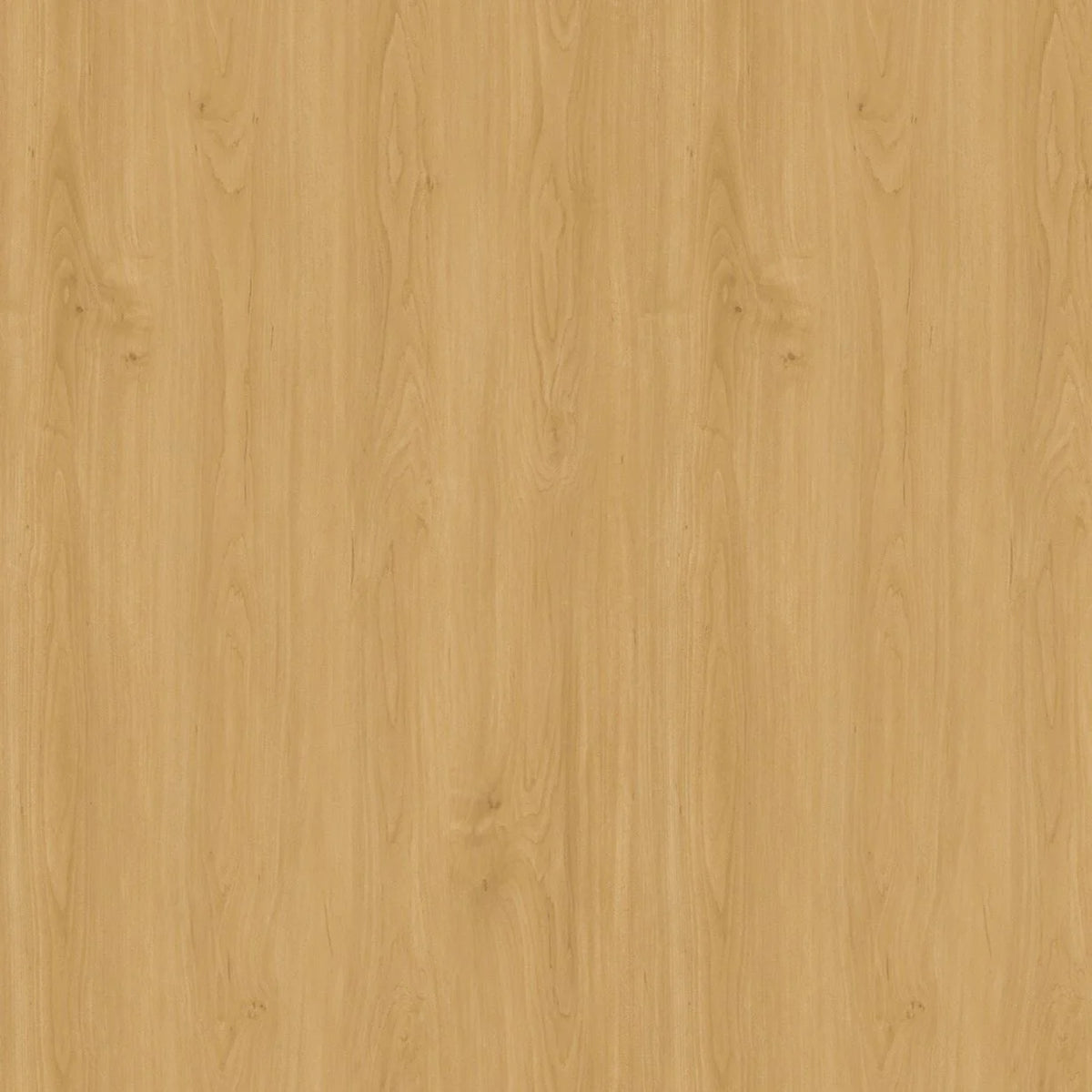 Golden Oak · GD03