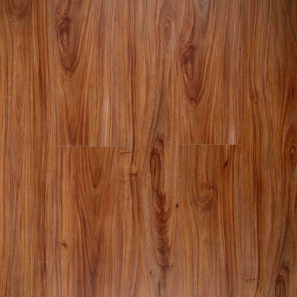 Hawaiian King Koa · SA18