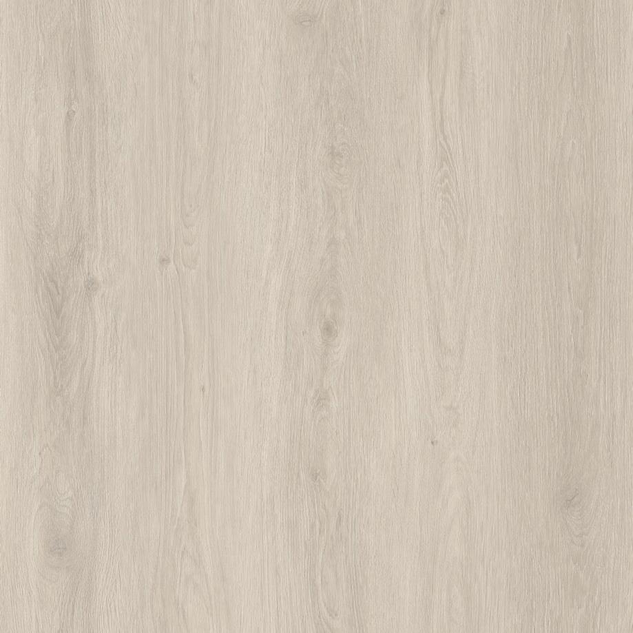 Almond Oak · GD08